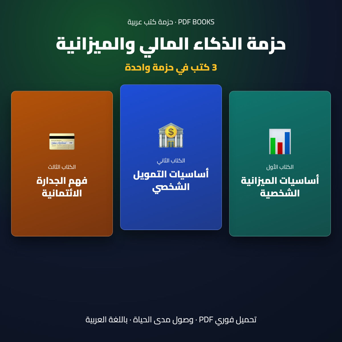 حزمة الذكاء المالي والميزانية — غلاف
