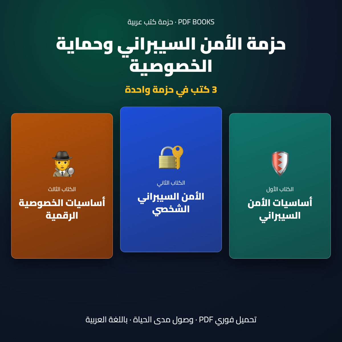 حزمة الأمن السيبراني وحماية الخصوصية — غلاف